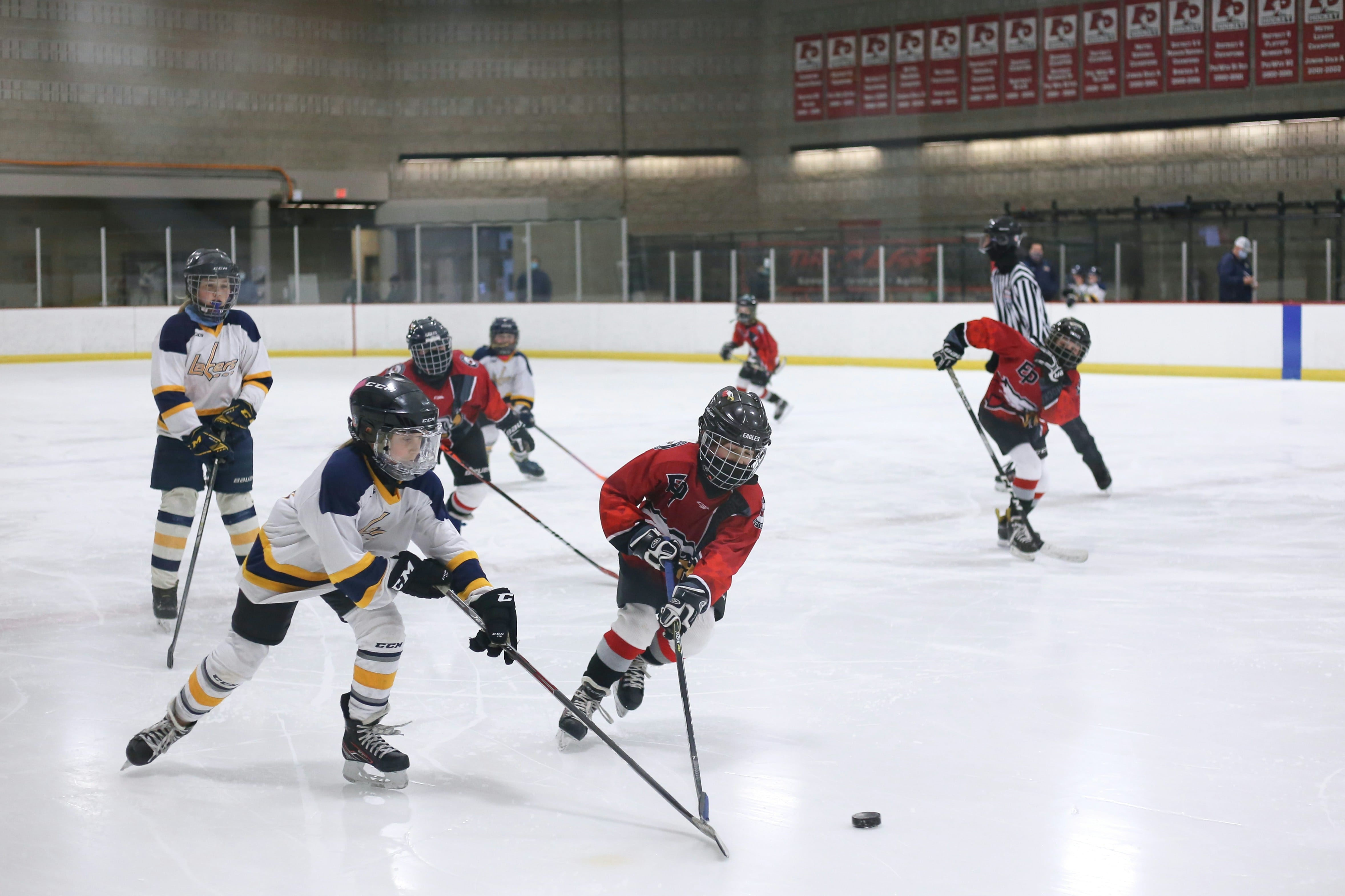 Young hockey players during game action
