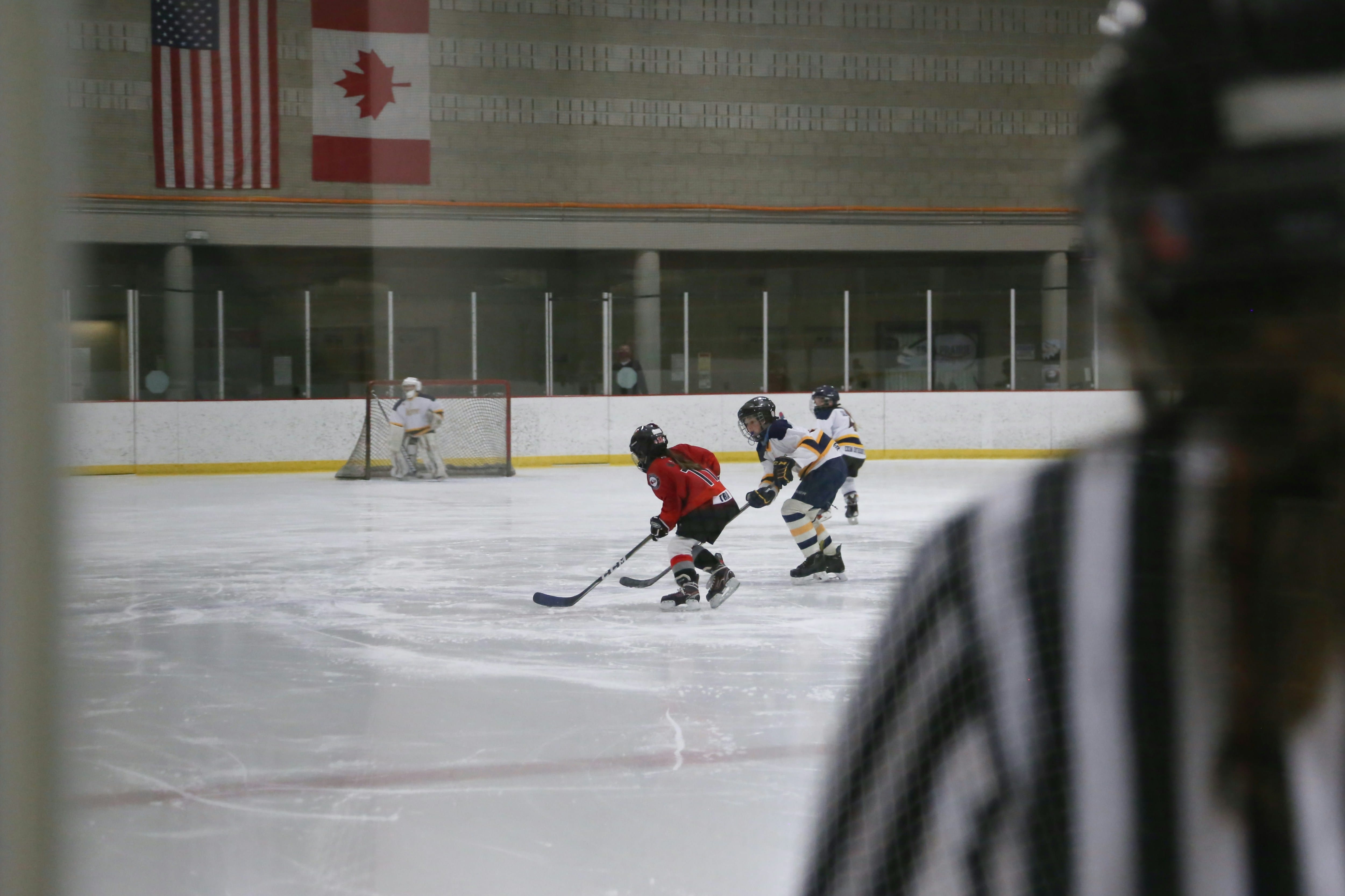 Youth hockey team celebrating on ice